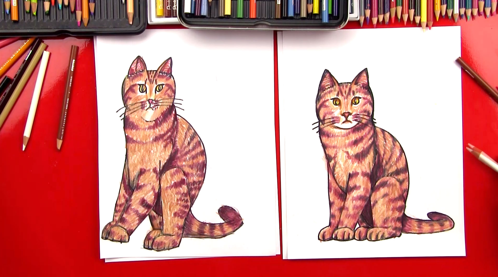 How To Draw A Realistic Cat Art for Kids Hub
