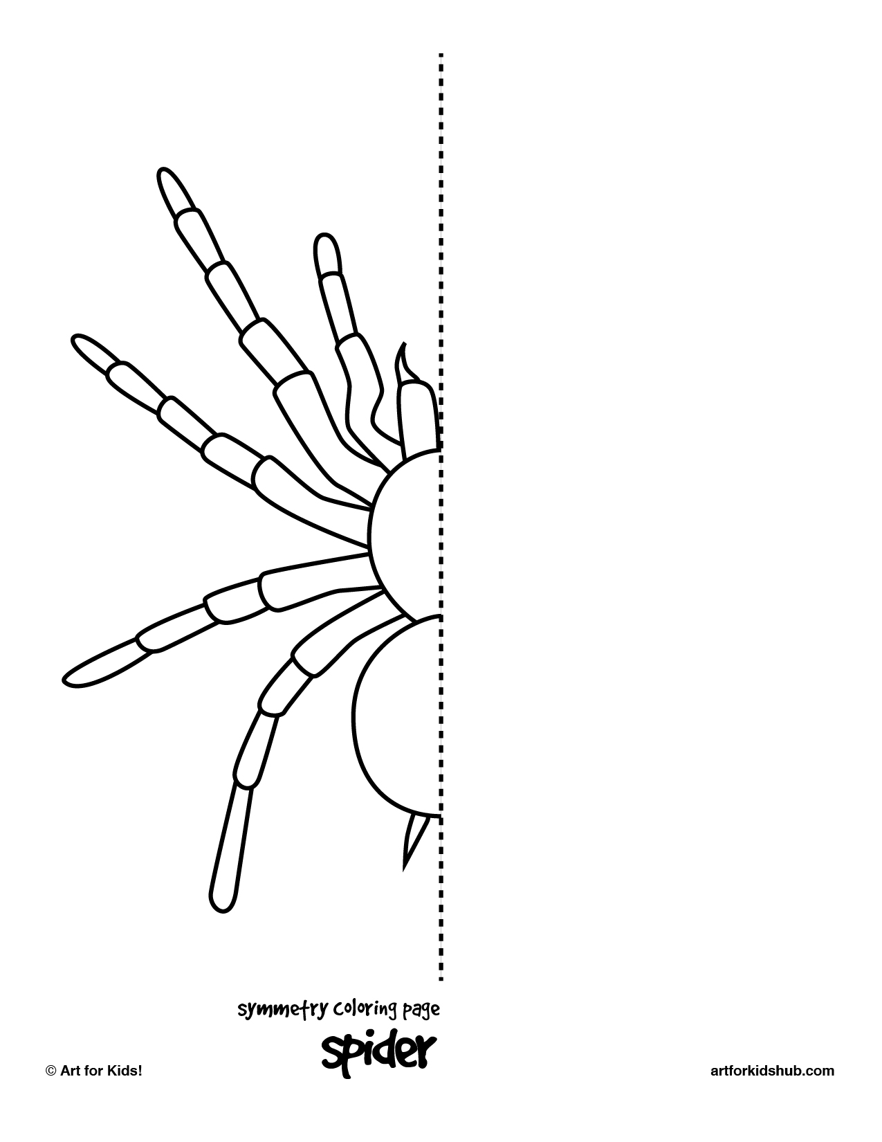 spider-symmetry