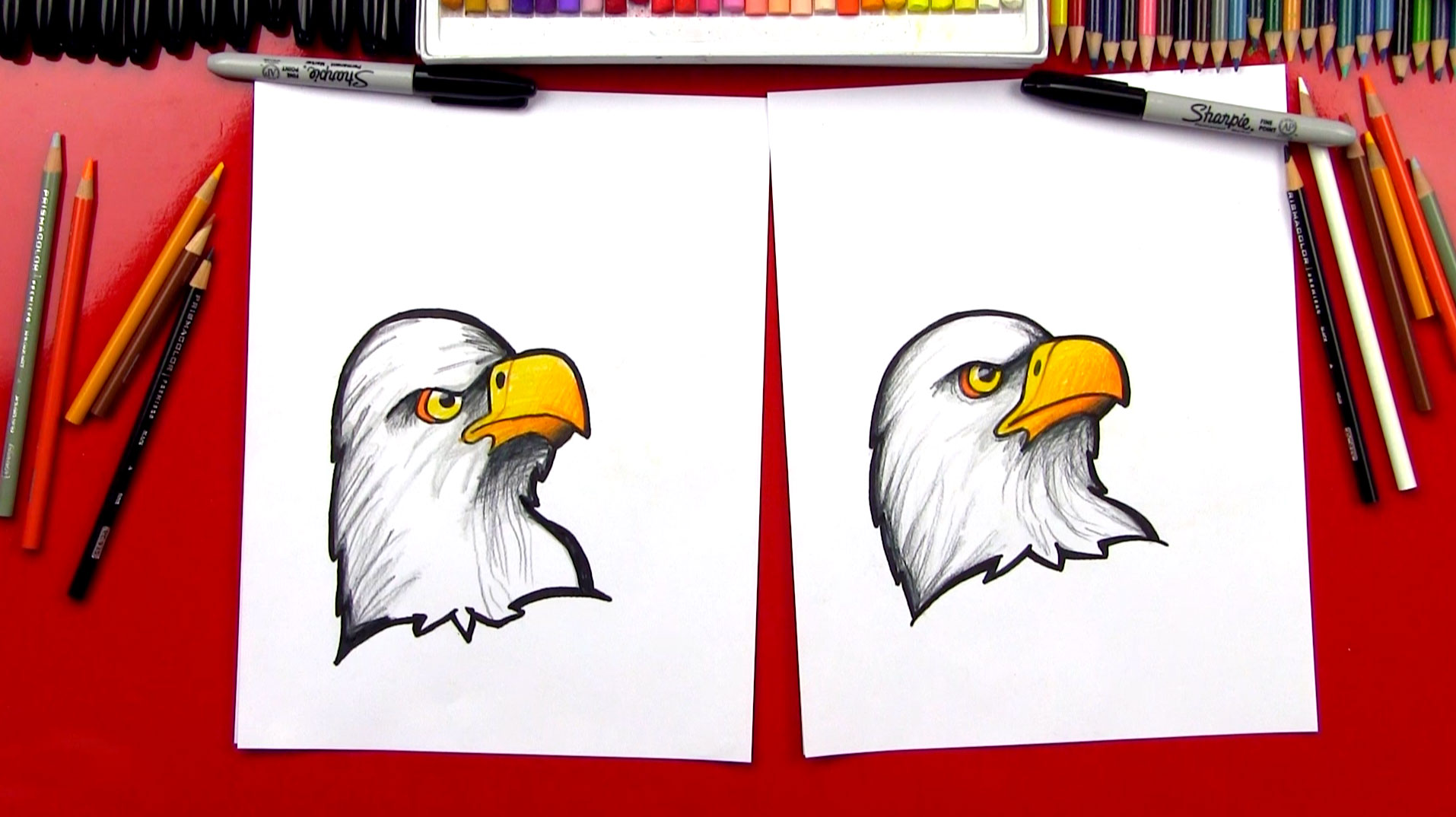 How To Draw A Realistic Bald Eagle Head (Art Club Members) Art For