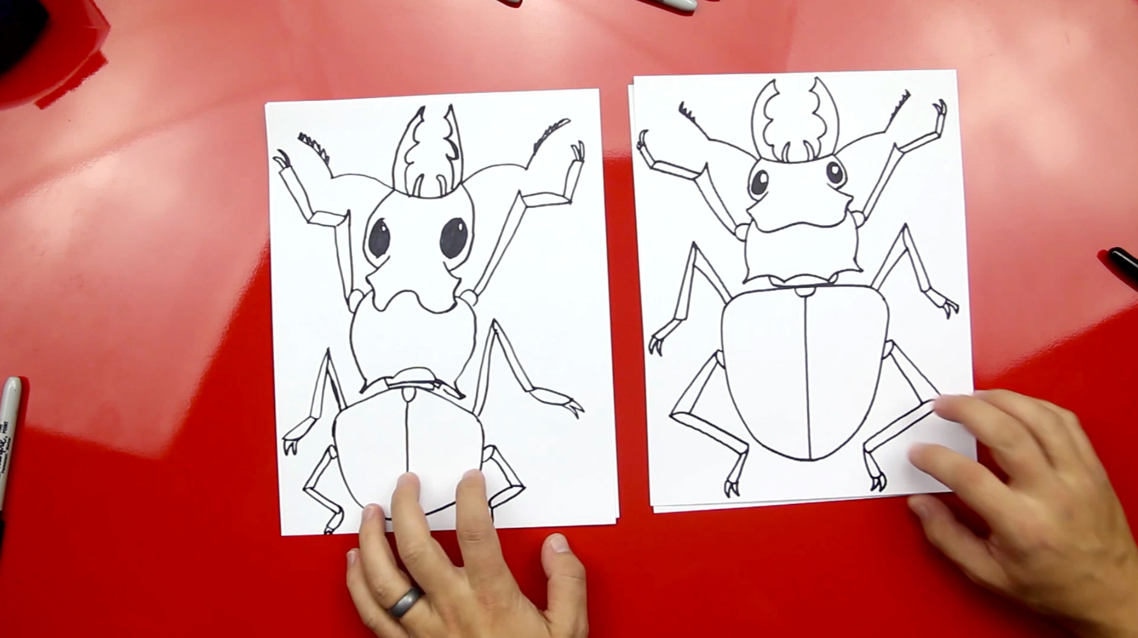 How To Draw A Stag Beetle - Art For Kids Hub