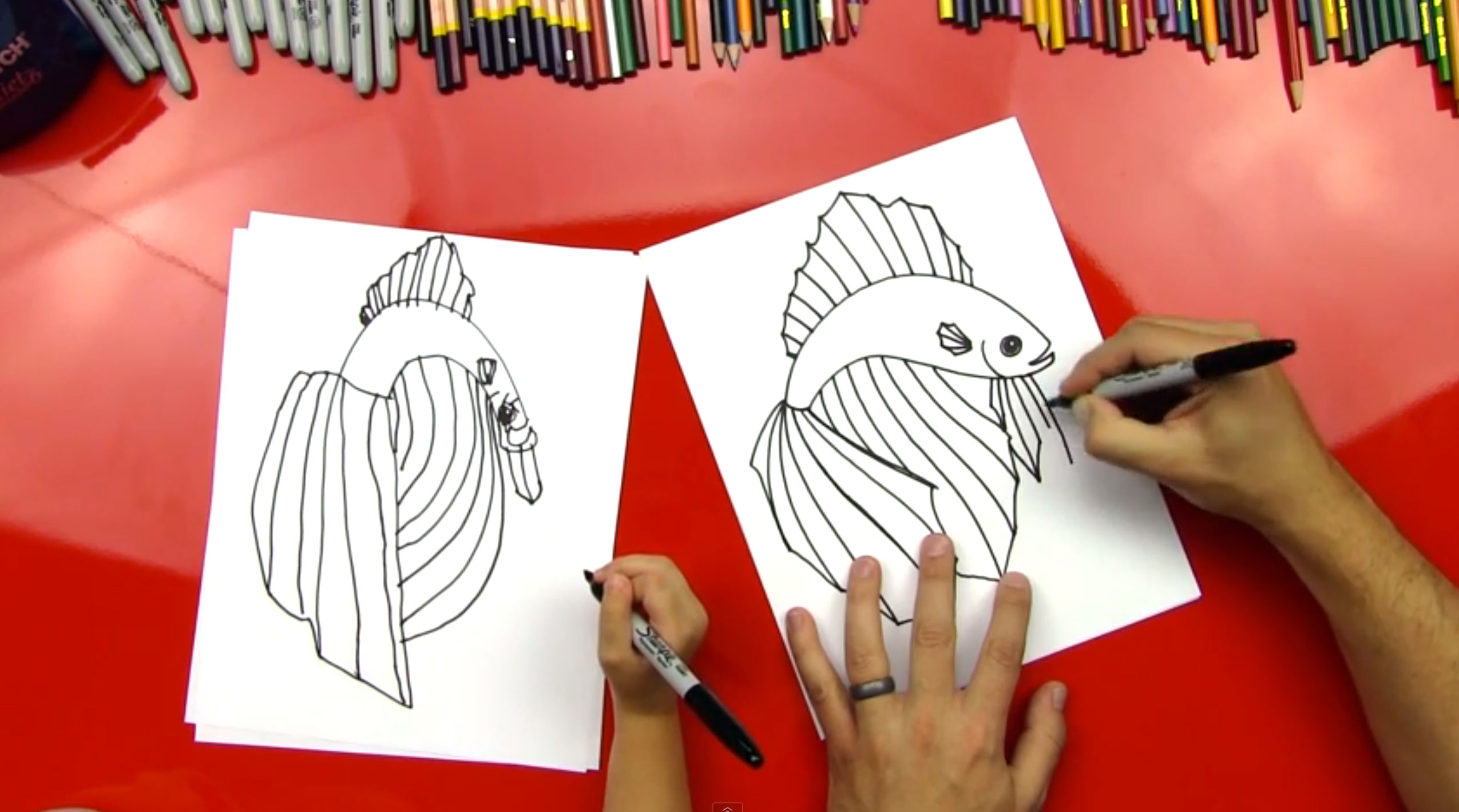 How To Draw A Betta Fish - Art For Kids Hub