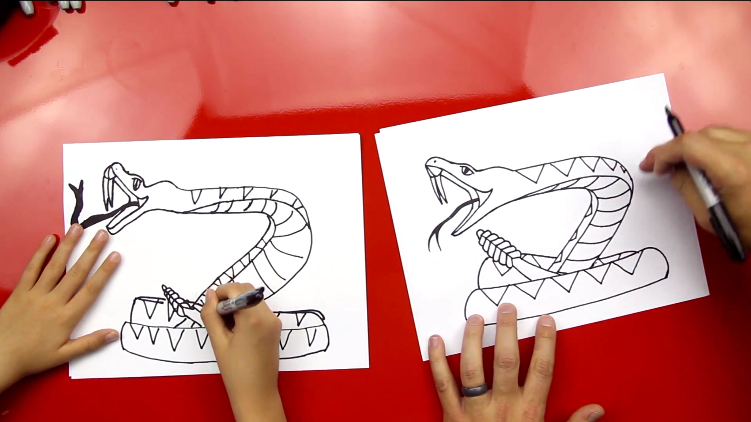 How To Draw A Rattlesnake - Art For Kids Hub