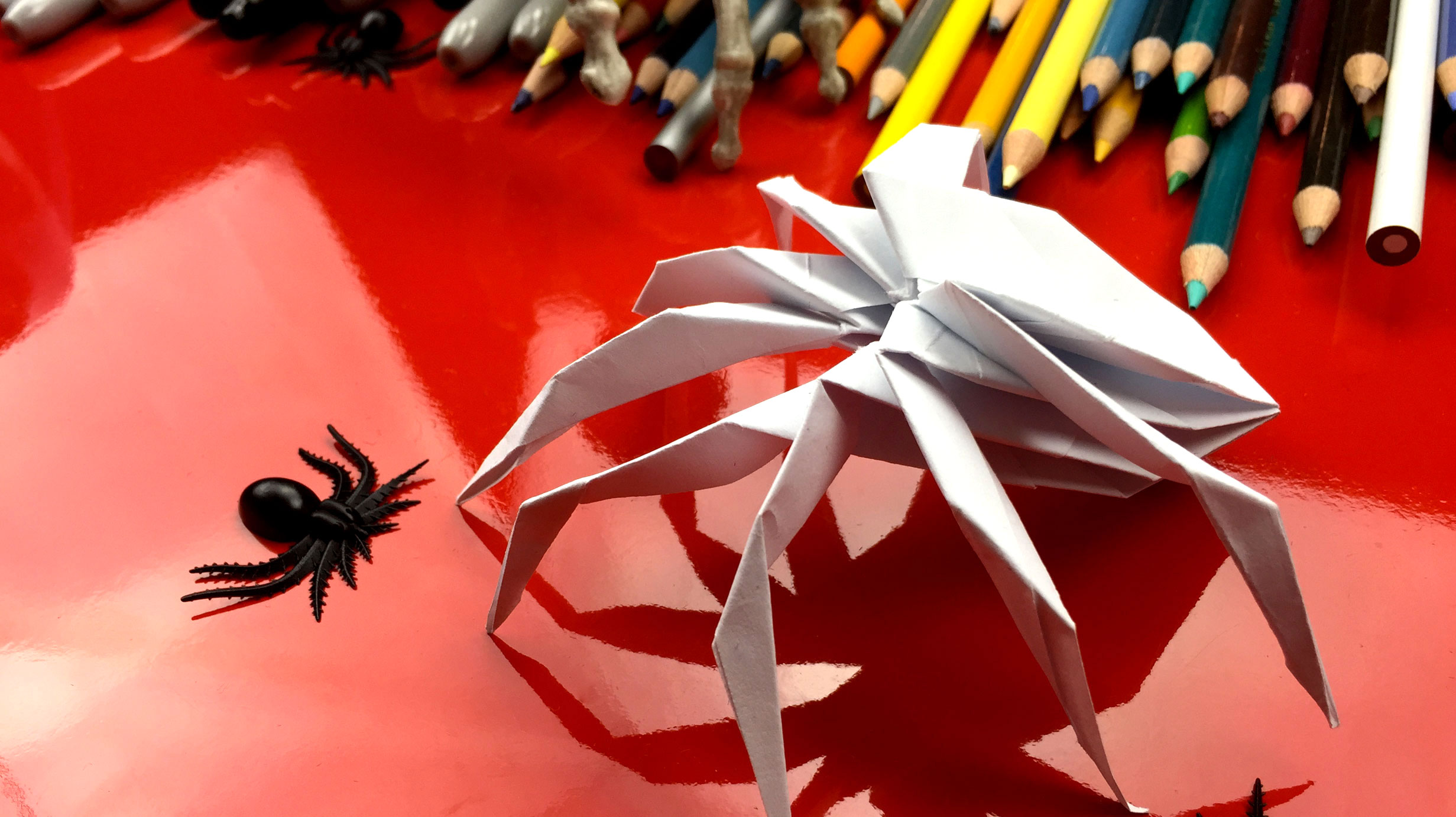 How To Fold An Origami Spider! Art For Kids Hub