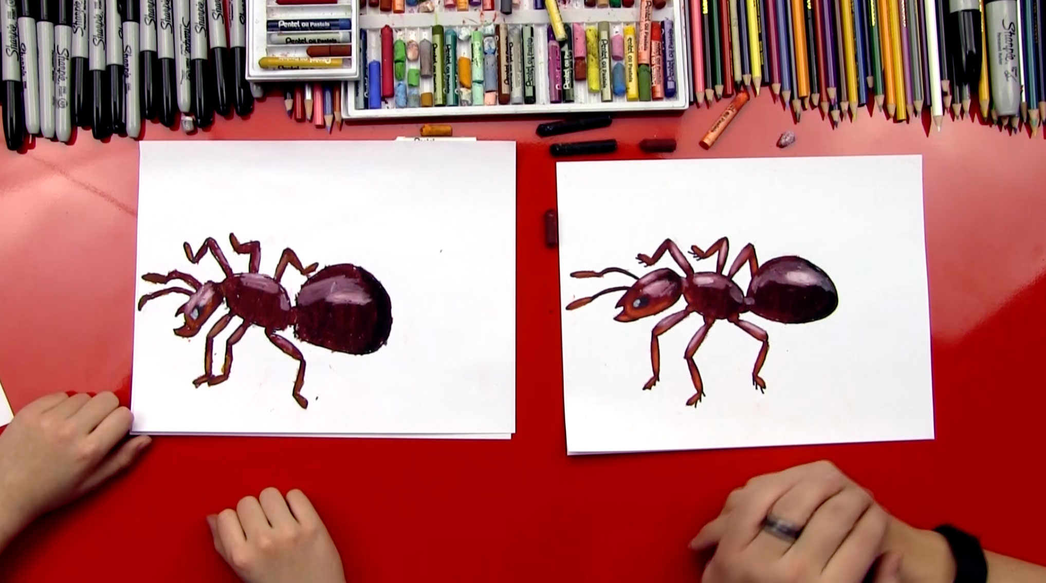 How To Draw An Ant - Art For Kids Hub