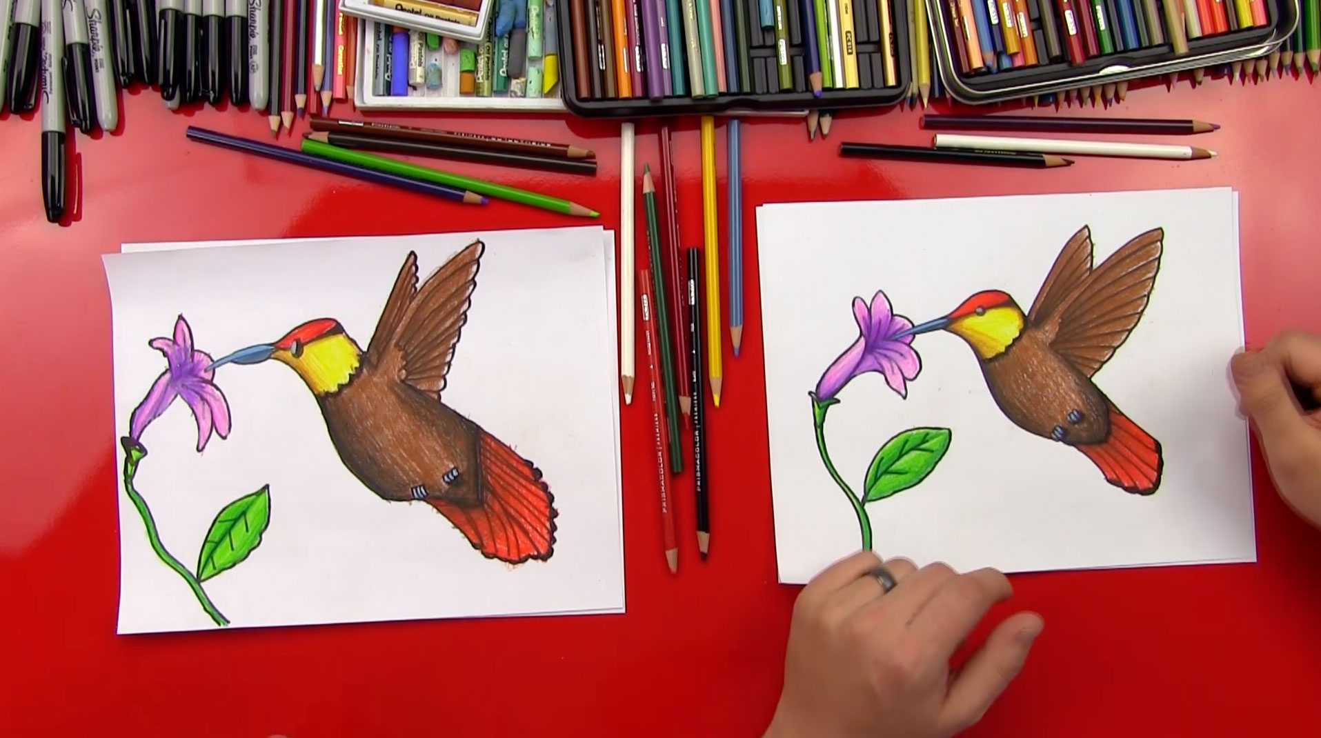 How To Draw A Hummingbird Art For Kids Hub