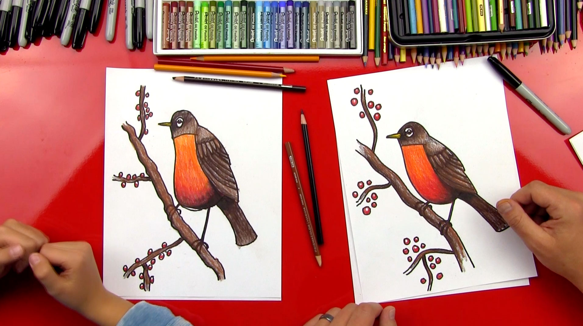 How To Draw A Robin Bird (Realistic) - Art For Kids Hub