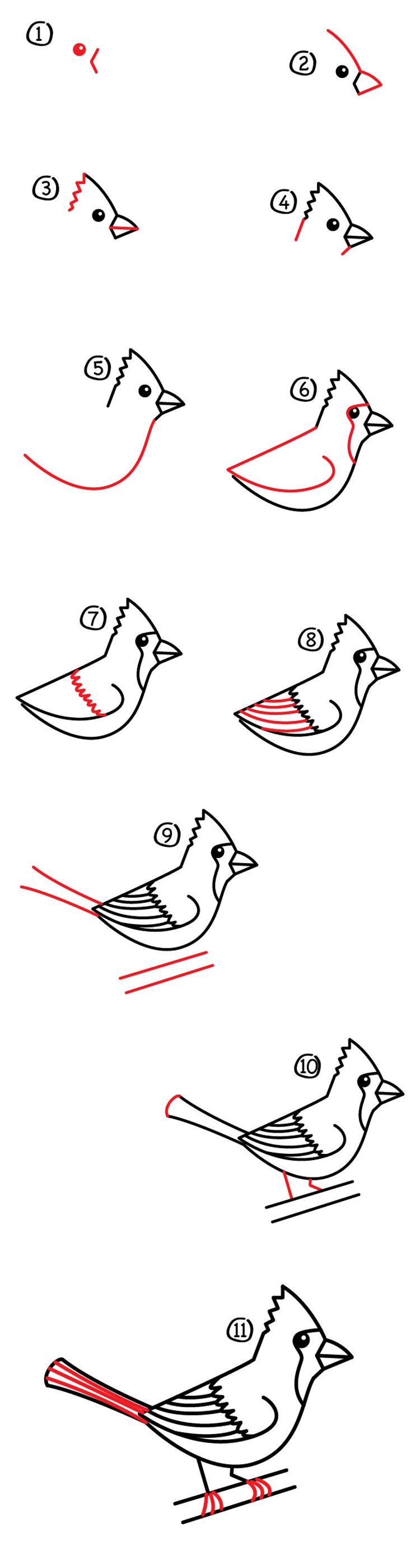 How To Draw A Cardinal Art For Kids Hub