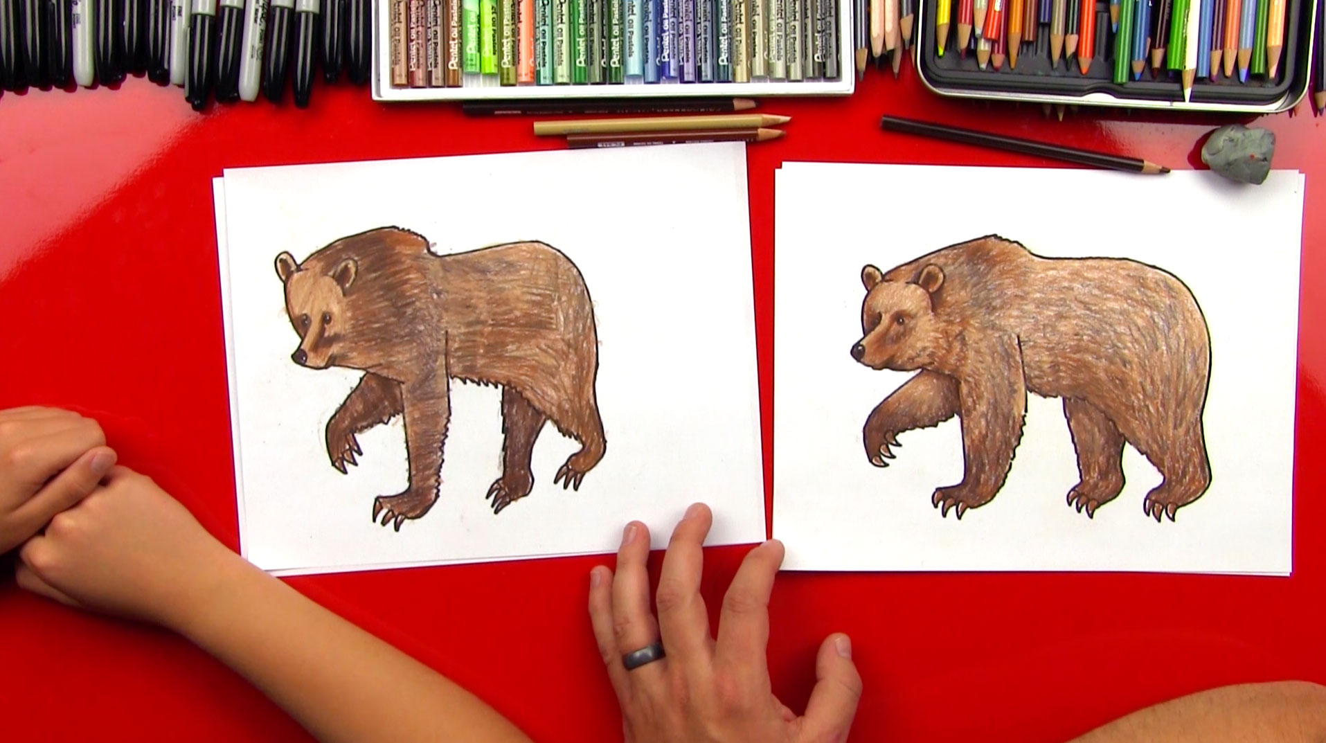 How To Draw A Grizzly Bear (realistic) - Art For Kids Hub