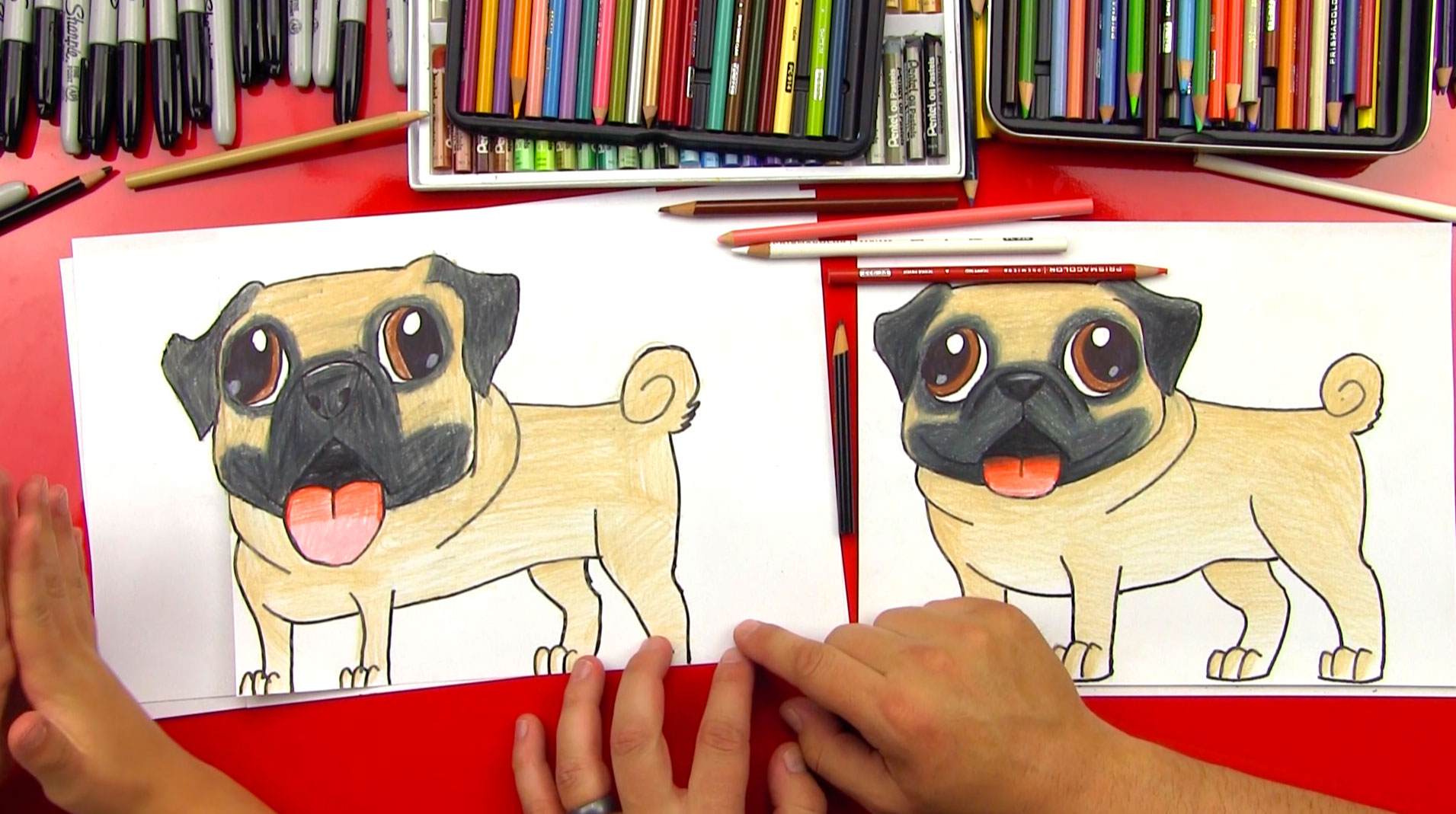 How To Draw A Pug - Art For Kids Hub
