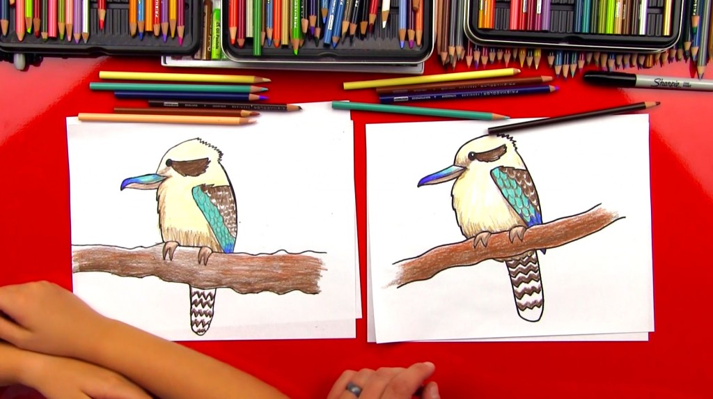 How To Draw A Kookaburra