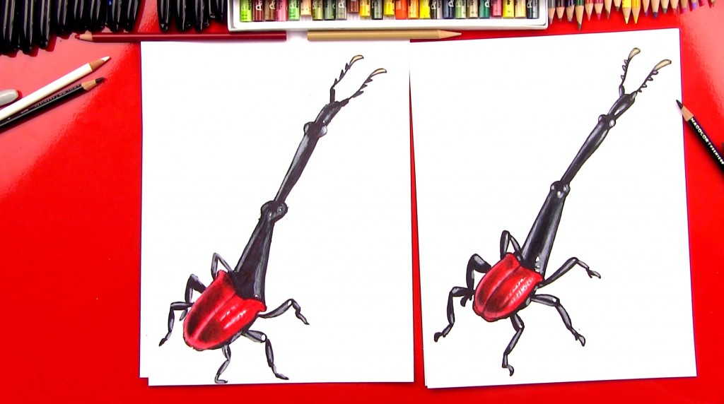 How To Draw A Giraffe Weevil