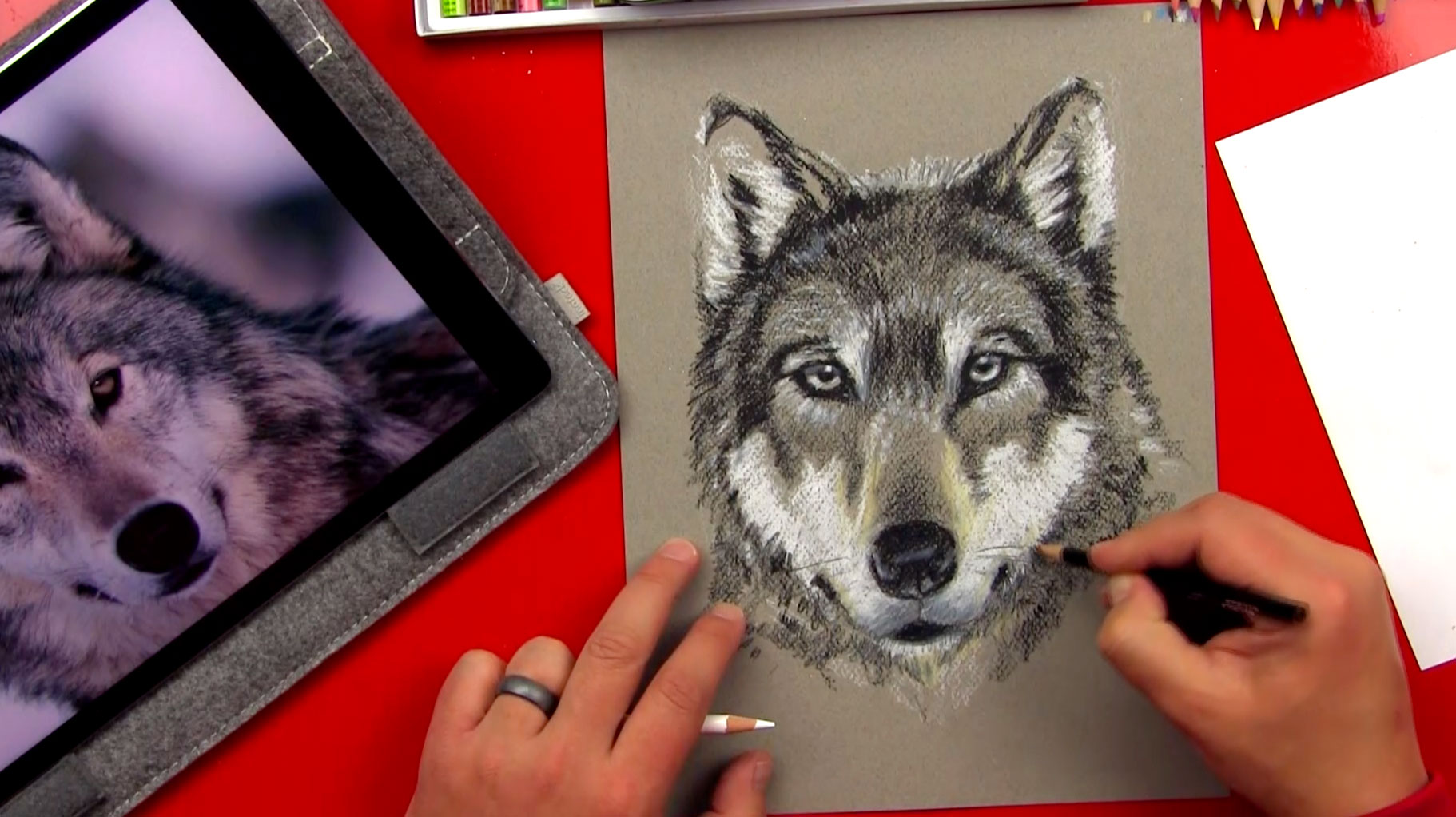 Wolf Time Lapse + SYA! - Art For Kids Hub