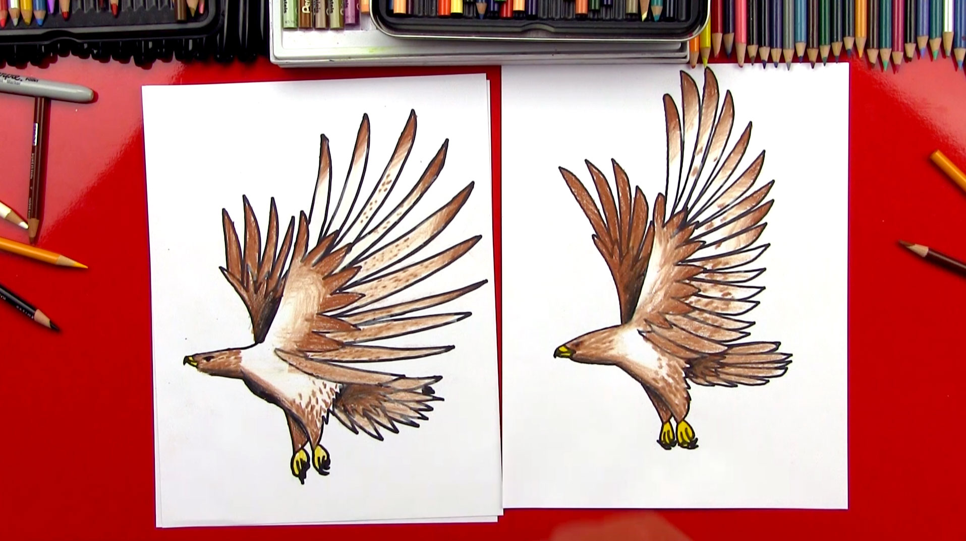 How To Draw A Realistic Hawk - Art For Kids Hub