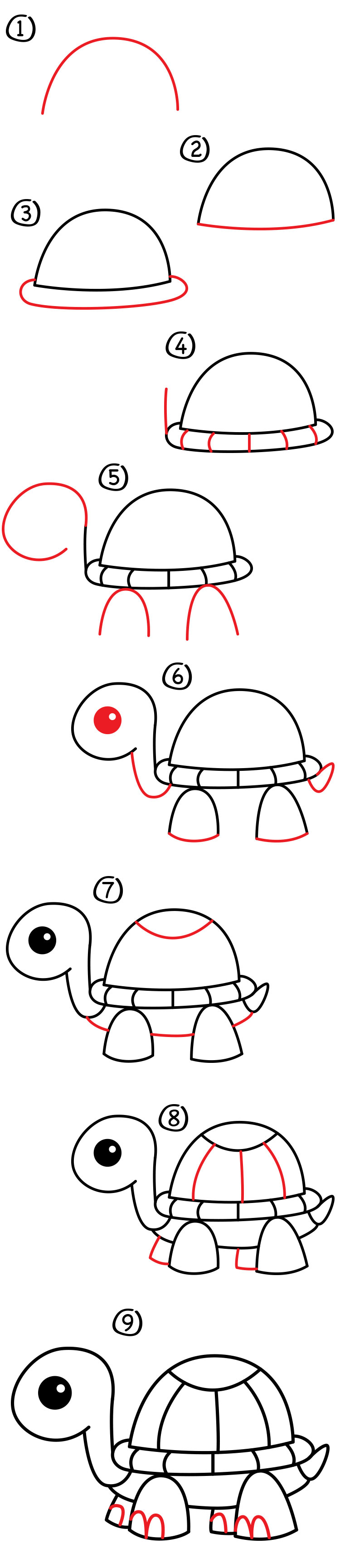 How To Draw A Cartoon Turtle - Art For Kids Hub