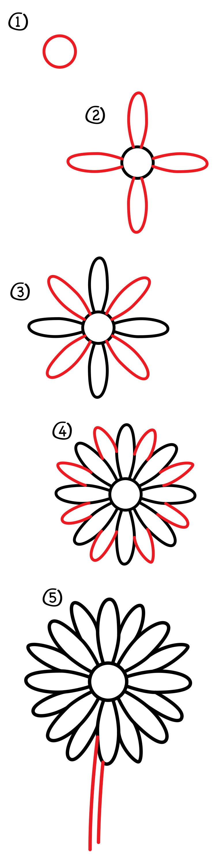 How To Draw A Daisy Flower Art For Kids Hub