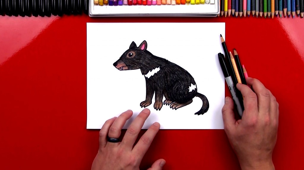 How To Draw A Tasmanian Devil