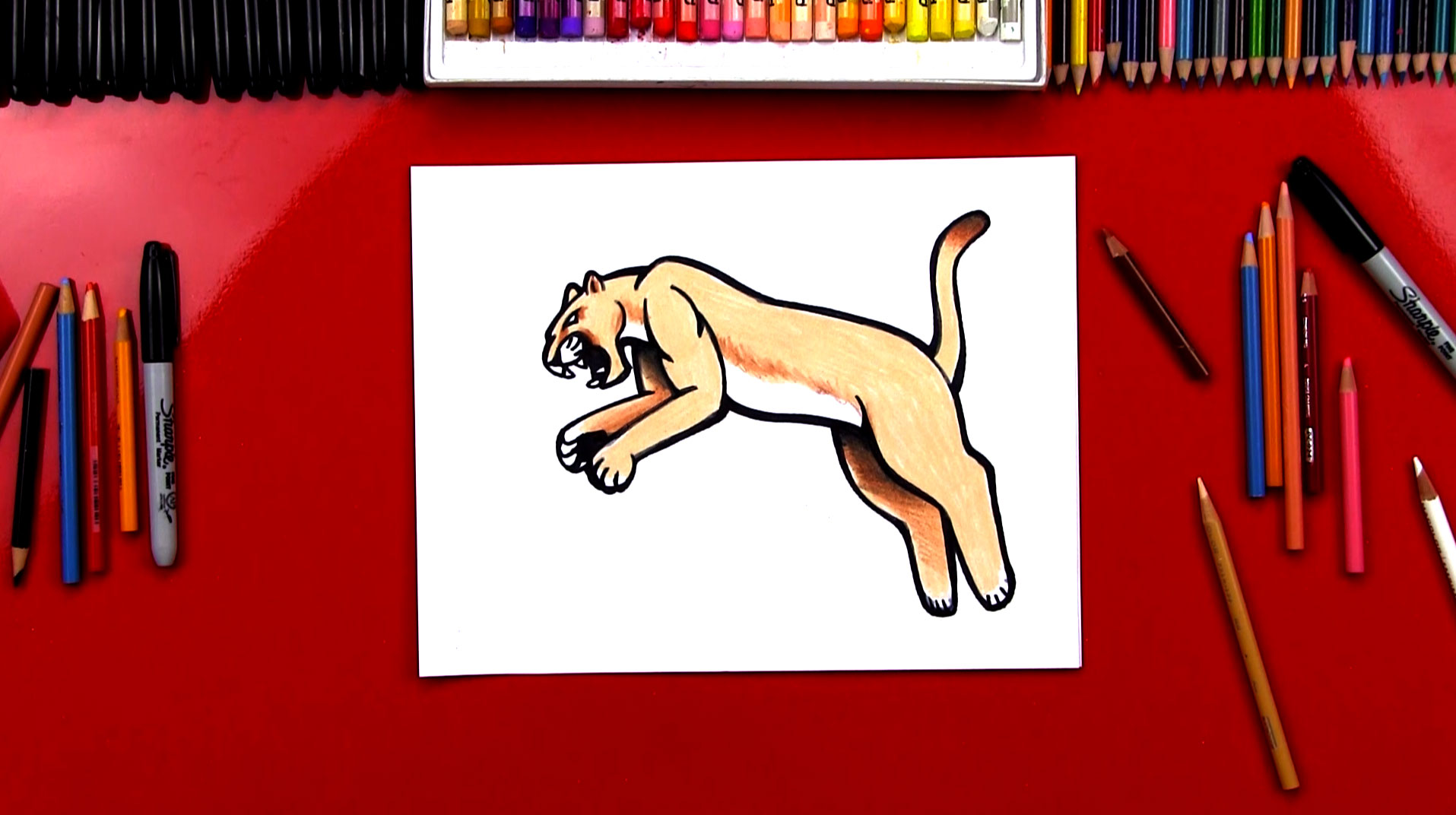 how-to-draw-realistic-cougar-feature