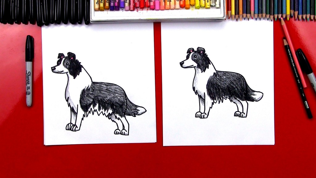 How To Draw A Border Collie
