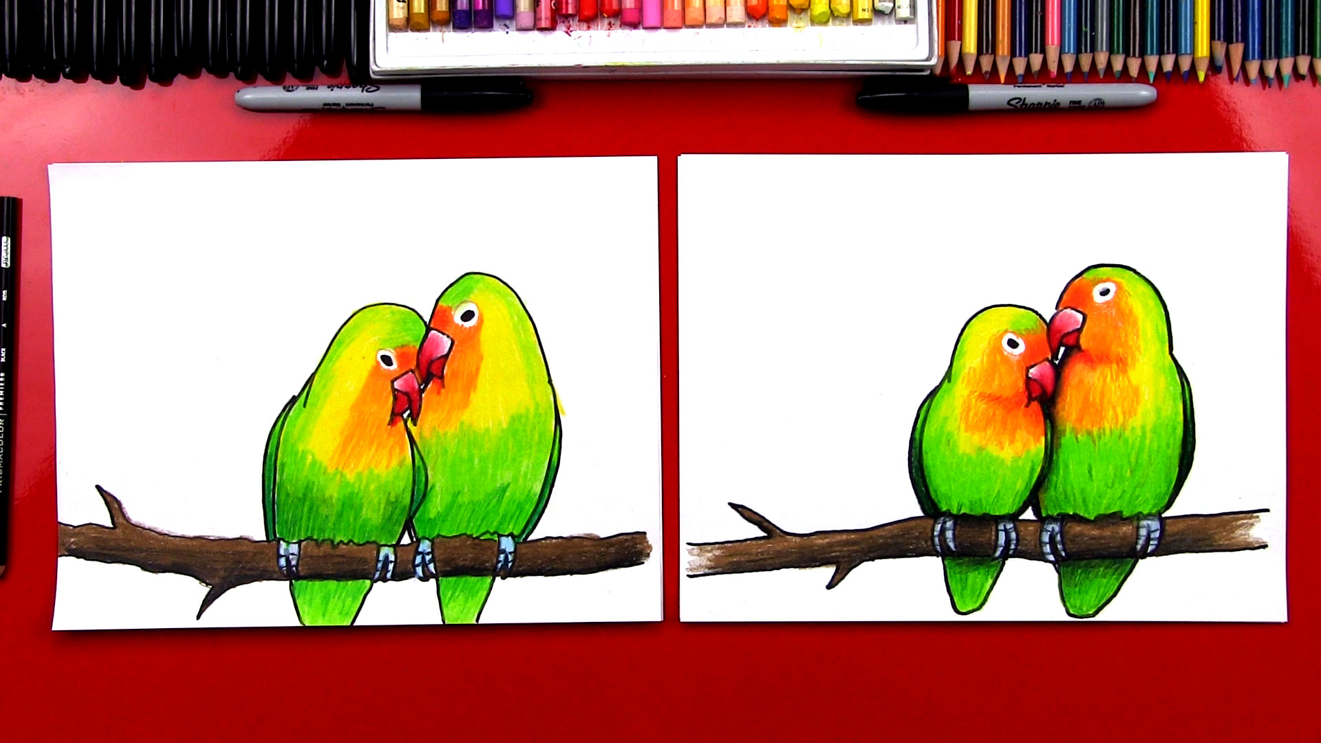 How To Draw Lovebirds - Art For Kids Hub