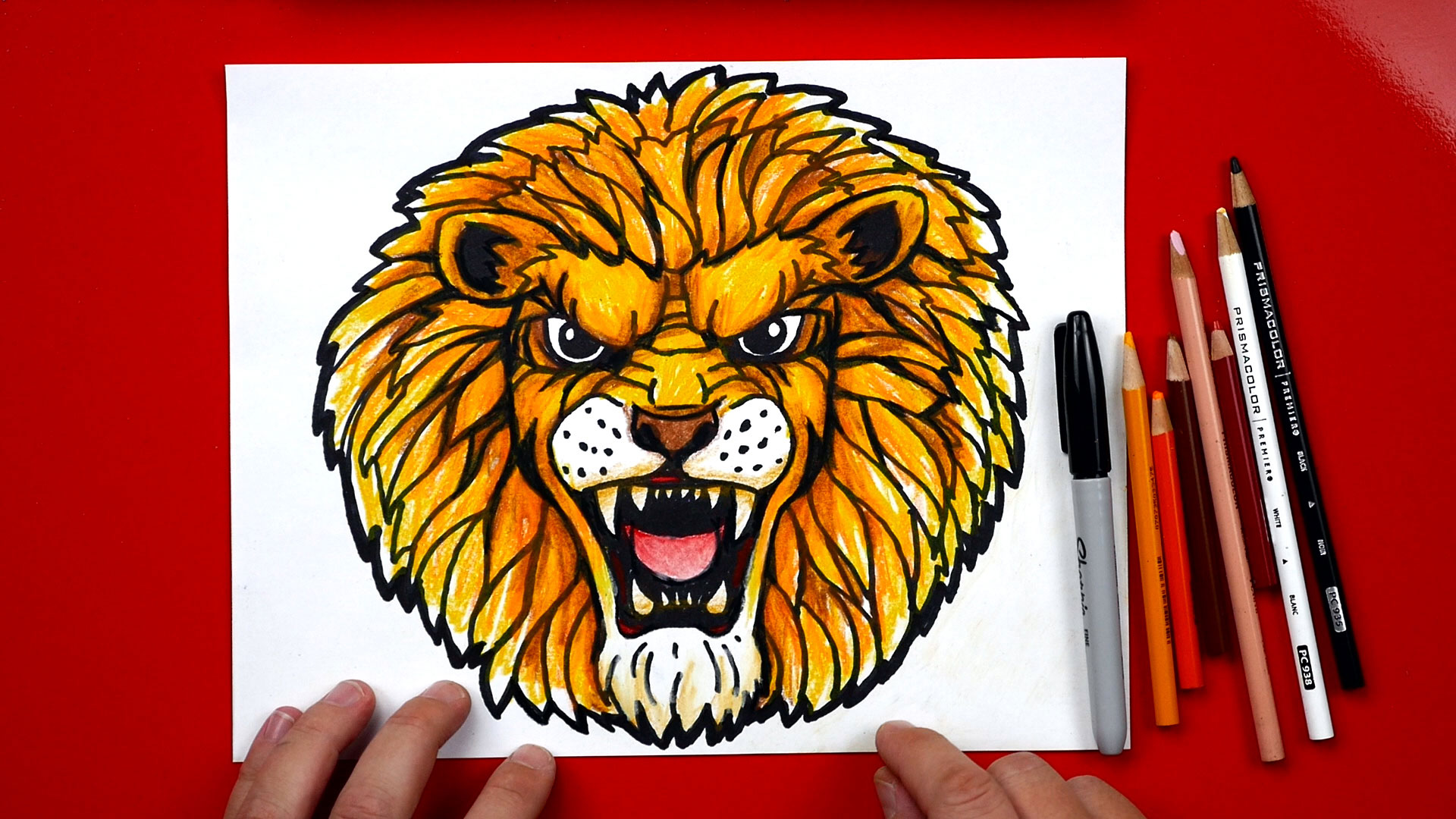 How To Draw A Realistic Lion - Art For Kids Hub