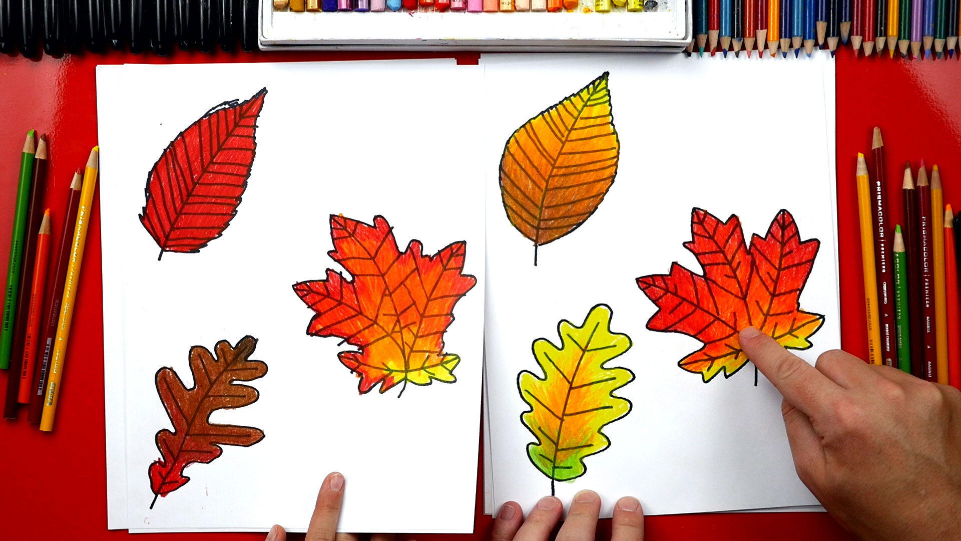 How To Draw Fall Leaves - Art For Kids Hub