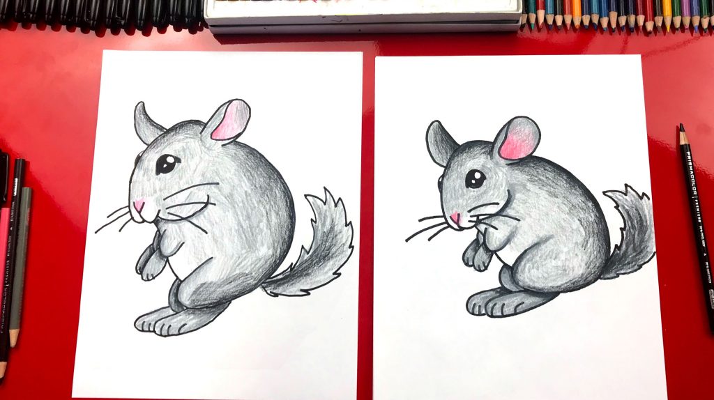 How To Draw A Chinchilla