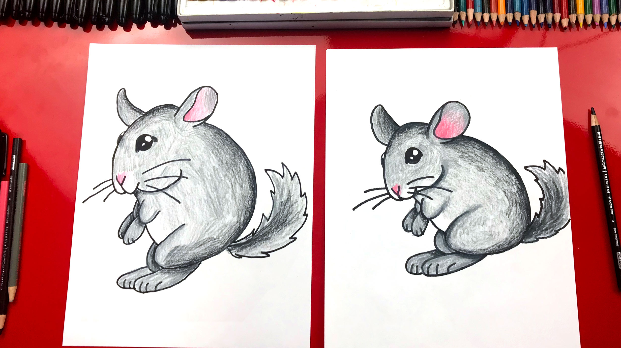 Featured image of post Chinchilla Drawing Easy Alibaba com offers 1 372 chinchillas cage products