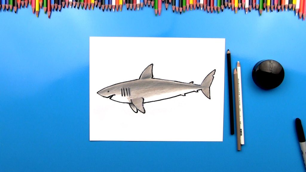 Shark Archives Art For Kids Hub