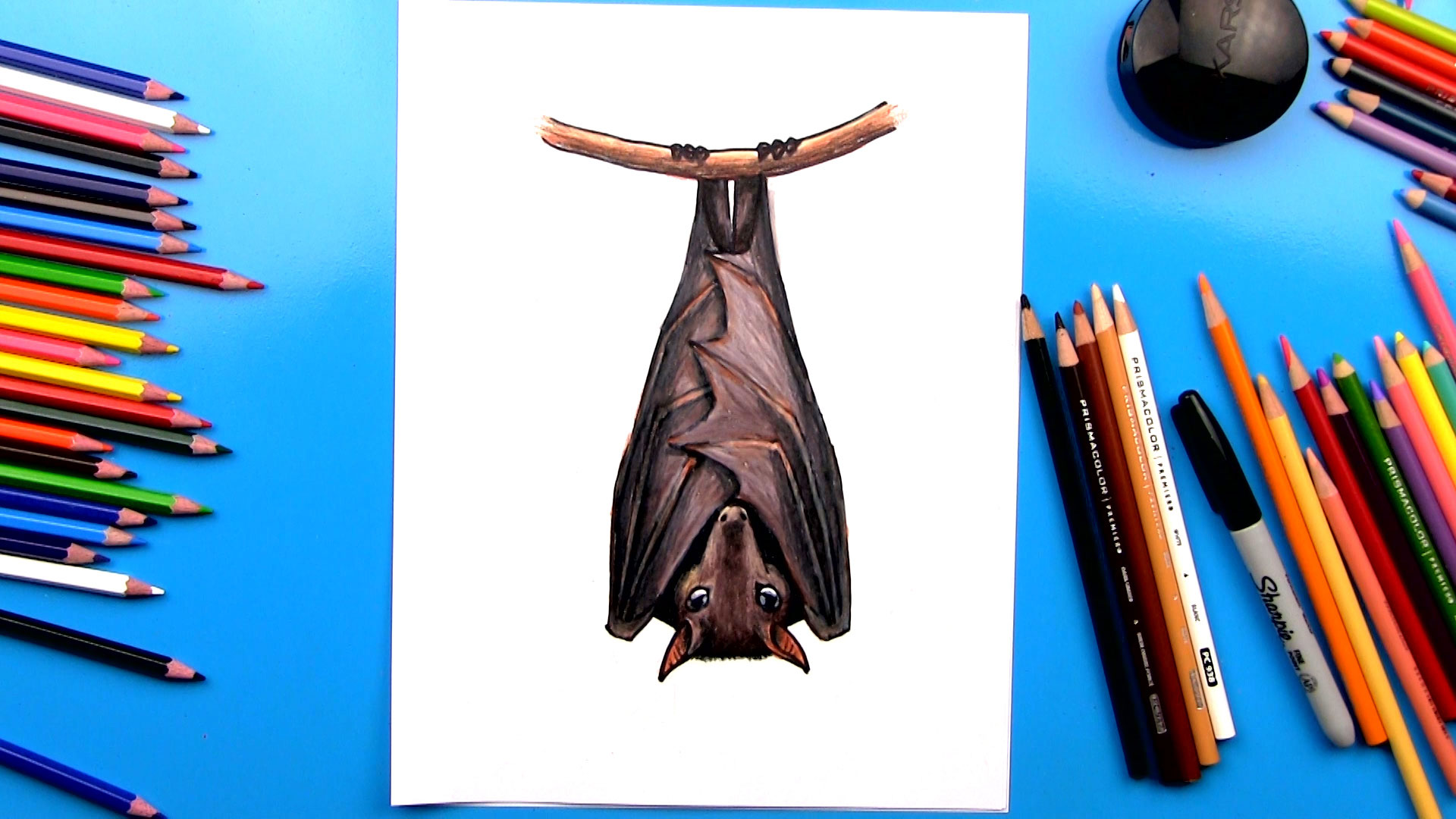 How To Draw A Realistic Bat - Art For Kids Hub