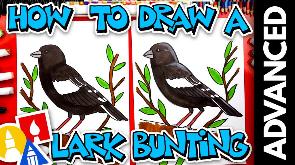 How To Draw A Lark Bunting – Advanced