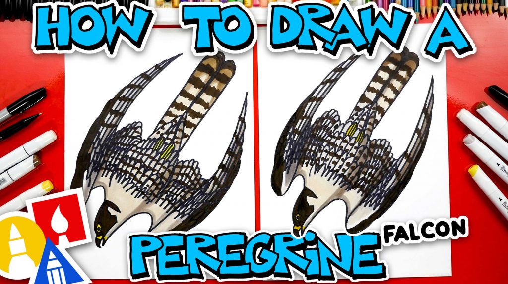 How To Draw A Peregrine Falcon Diving – Advanced