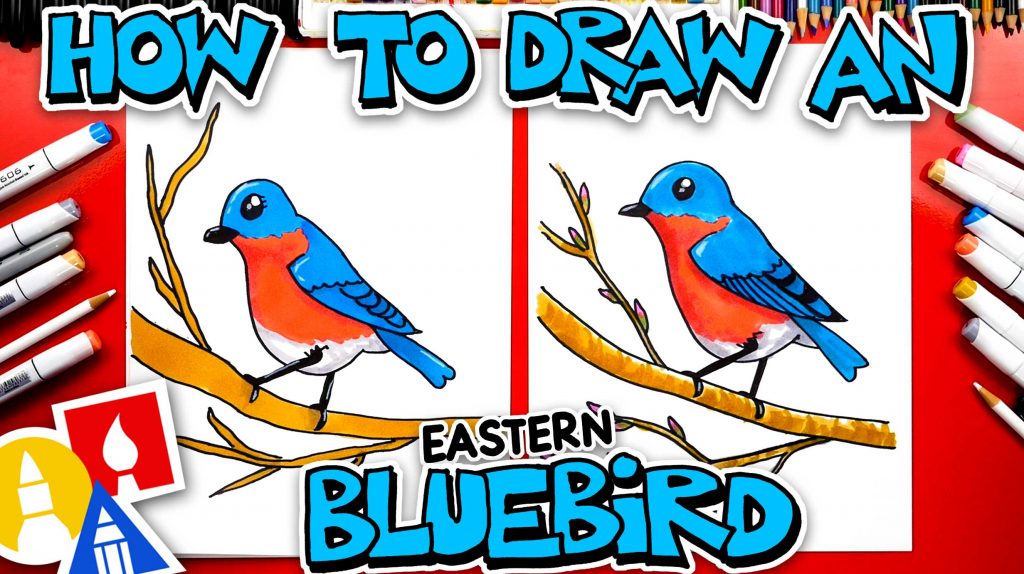 How To Draw An Eastern Bluebird