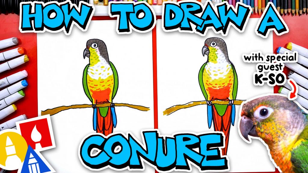 How To Draw A Green Cheek Conure