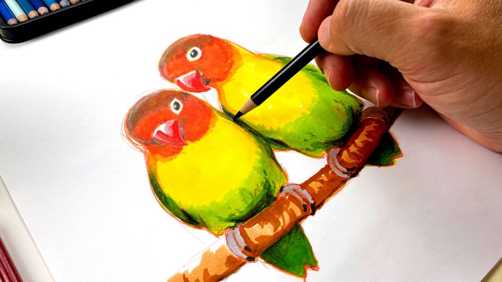 How To Draw Realistic Love Birds – Advanced