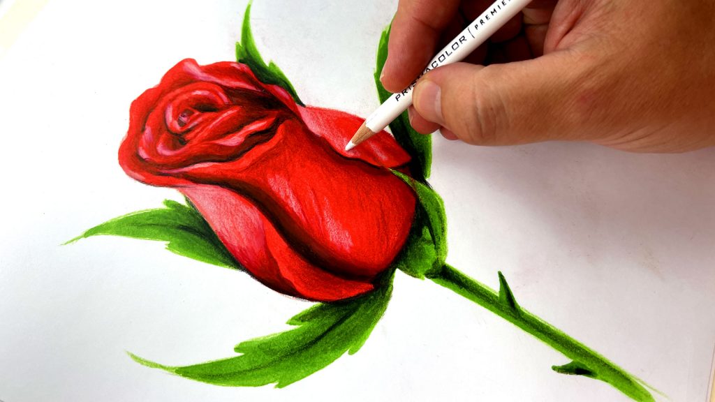 How To Draw A Rose – Advanced