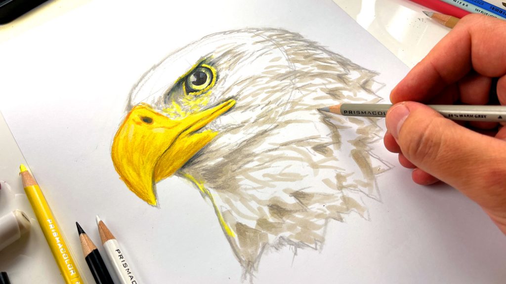 How To Draw A Bald Eagle Head – Advanced