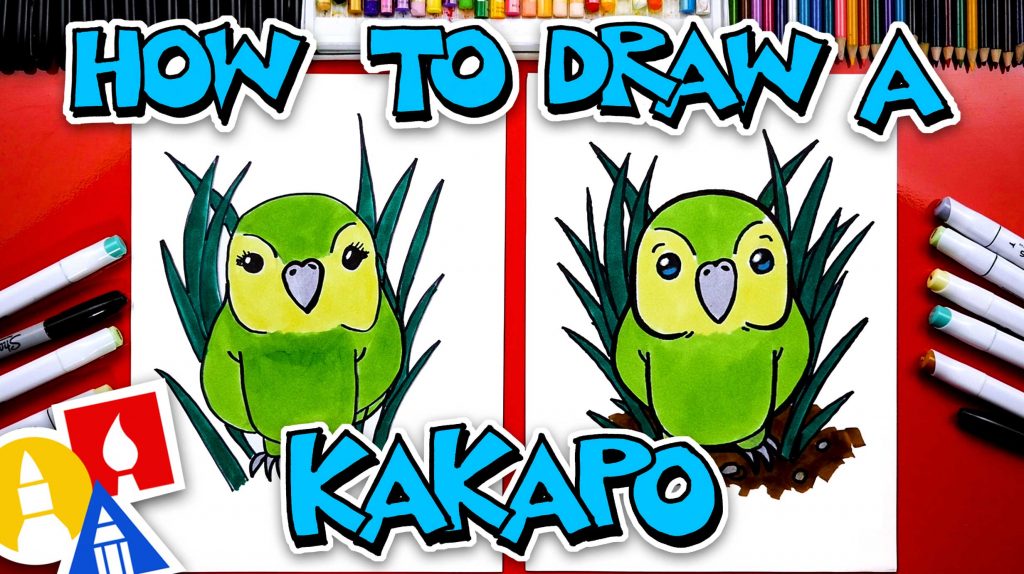 How To Draw A Kakapo Bird From New Zealand