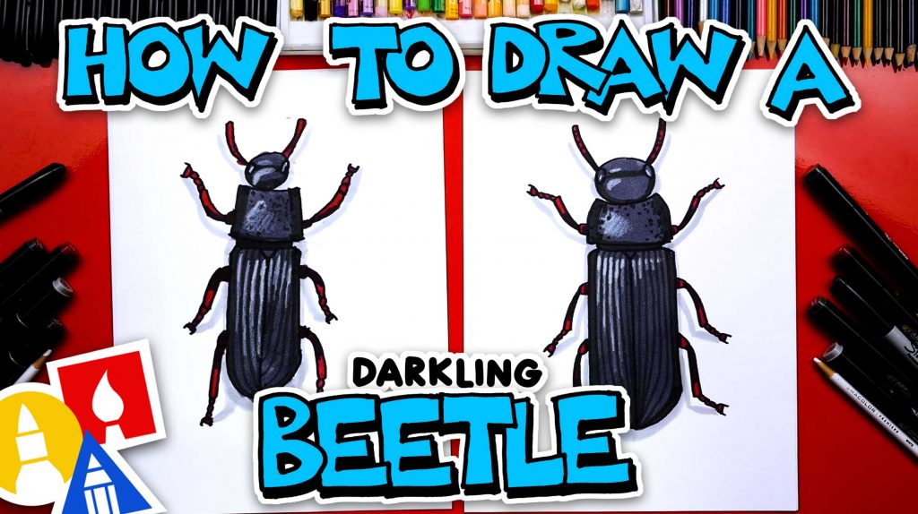 How To Draw A Darkling Beetle